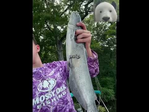 Plans for summer #bassfishing #viral #fishing #fish #catfishing #shorts