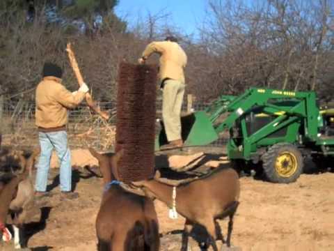 download lagu mp3 mp4 Diy Cow Scratching Post, download lagu Diy Cow Scratching Post gratis, unduh video klip Diy Cow Scratching Post