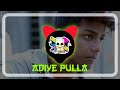 DJ AUX Adiye Pulla Havoc Brothers Song DJ Emix Urumi Mix Support Me ️