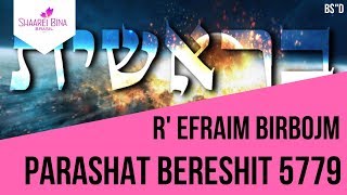 Parashat Bereshit