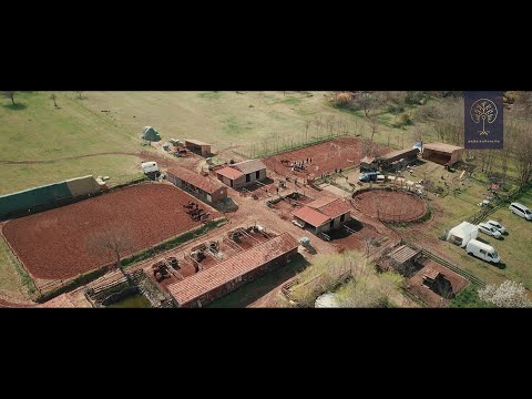 HaZám Lovasudvar - Galgahévíz Kultúrpajta