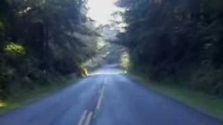 Loping Wolf - Oregon Highway
