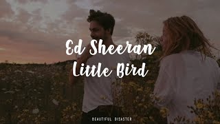 Ed Sheeran - Little Bird (Sub. Español)