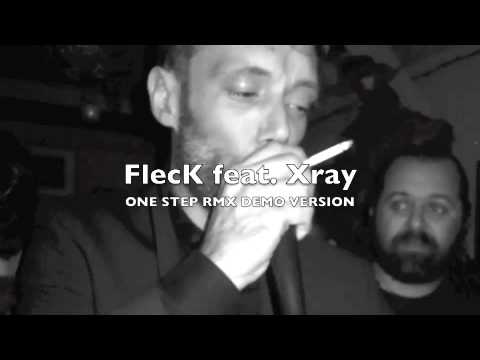 FLECK+XRAY onestep DEMO