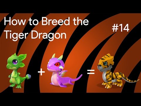 How to Breed the Tiger Dragon | DML Breeding Guide #14