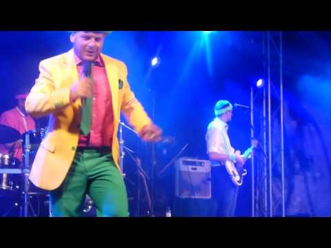 Moers - Laat mij maar alleen (Harddraverij Medemblik 18.08.2016)