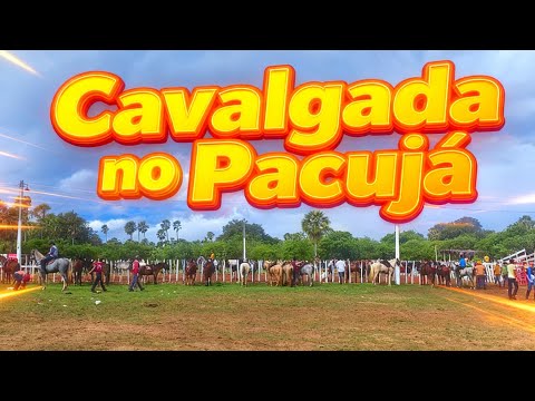 Cavalgada no Pacujá.