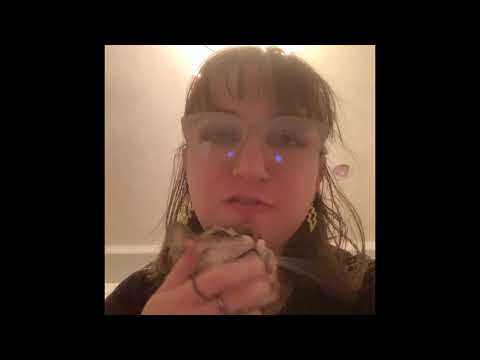 Pilchard’s Breakfast 🐱