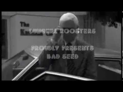 Dunghill Roosters - Bad Seed, Omar and The Howlers cover