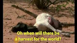 Harvest for the World