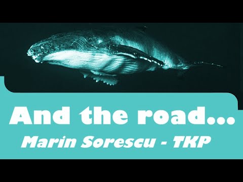 And the Road... | Original Marin Sorescu and TKP | The Fish are Dehydrating in the Ocean | Subtitles