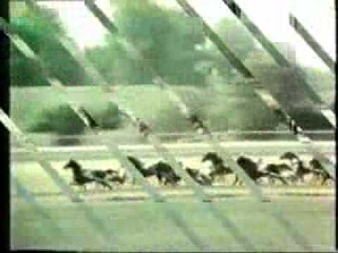 Hambletonian 1963 -Speedy Scot