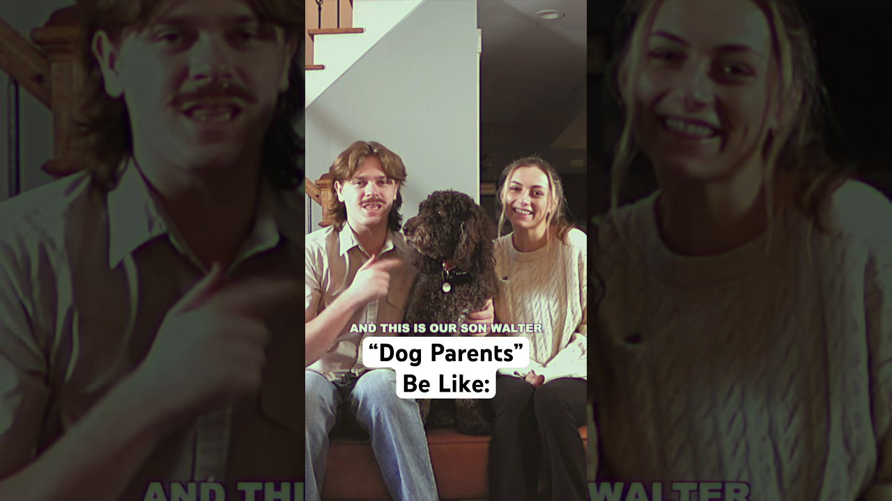 “Dog Parents” be like: