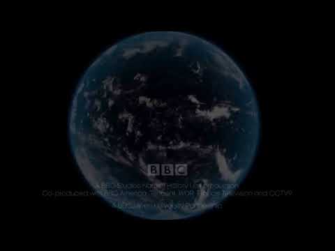 Albatrosses are ingesting plastic   Blue Planet II  Episode 7 Preview   BBC One