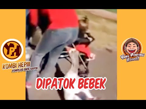 kombi-heppiii-lucu-dipatok-bebek