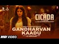 Gandharvan Kaadu Video Song CICADA Movie Sreejith Edavana Navin Marar Malayalam Latest Song