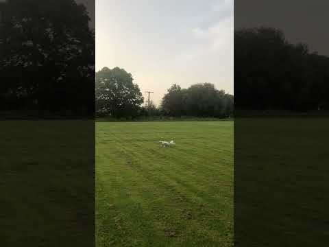 ft simple scout landing #flitetest