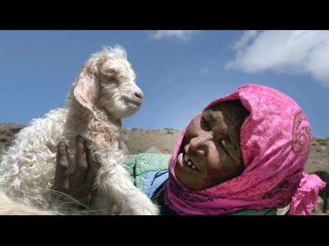 [Doku HD] Die Hirtin aus Ladakh