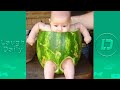 Try Not To Laugh Challenge Funny Kids Vi