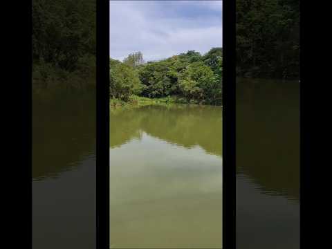 Lago Belvedere #lagos #lagoa #riodejaneiro #voltaredonda #tarde #naturephotography #pesca #pescaria