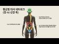 서여, 참마,산약은 상품, 보익약, 비폐신, 기와 음을 동시에 보, 허로·소모·염증·대사 저하 회복, 수태음족태음경,dioscorin, glucomannan,대사질환, 장건강,뮤신