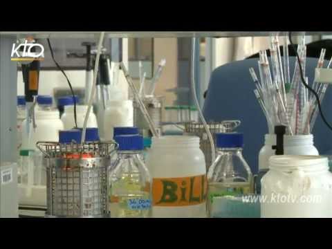 Trisomie 21 : la recherche avance