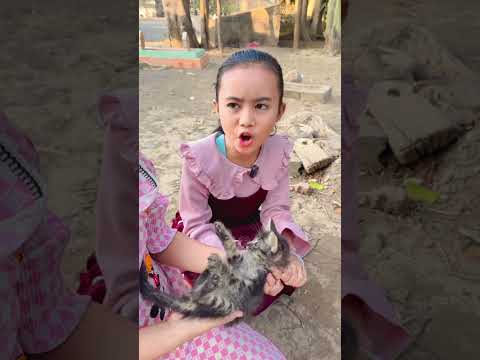 Kucingnya ngikutin kanza # #shortvideo
