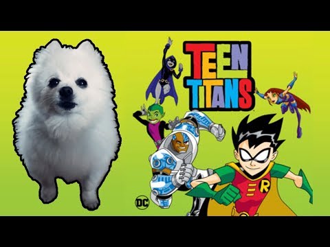 TEEN TITANS em CACHORRÊS