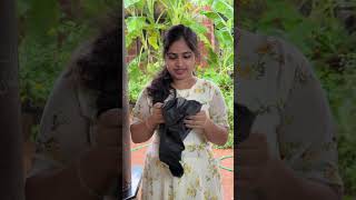 Bag Cover Waterproof Rain Cover for Backpack #waterproof #raincover #bagcover #kidsbags