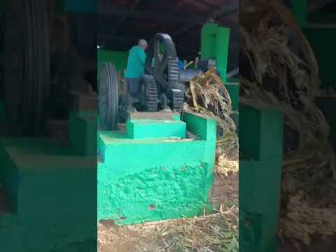 10/10/25 fábrica de moagens de cana de açúcar serra grande Paraíba pb produção das rapaduras