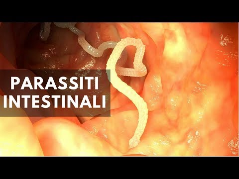 Parassiti che stanno alla persona Se ladulto ha vermi che i farmaci
