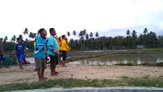 preview picture of video 'Merpati balap pulubala (pangadaa)'