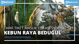 Dijadikan Lokasi Syuting MV oleh Boyband TXT, Berikut Tarif Tiket Masuk Kebun Raya Bedugul Bali