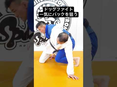【柔術】ドッグファイト（ハーフガード）から一気にバックを狙う