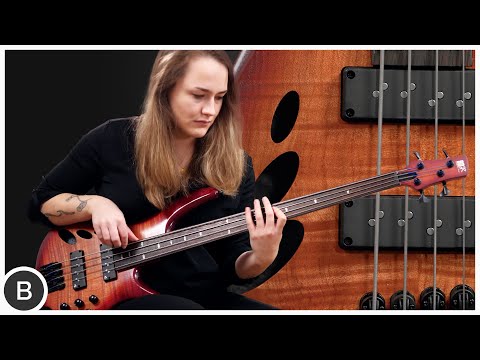 IS THIS THE PERFECT FRETLESS BASS??