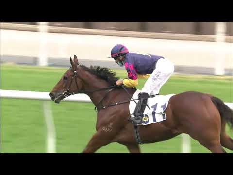 20/12/2020 (281) Fortune Master- J Moreira