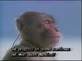 Monkey With Guts Theme Berserk