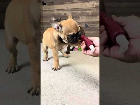 Video 3