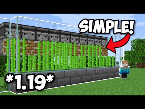 Minecraft's Best Sugarcane Farm | 1.19+ Tutorial