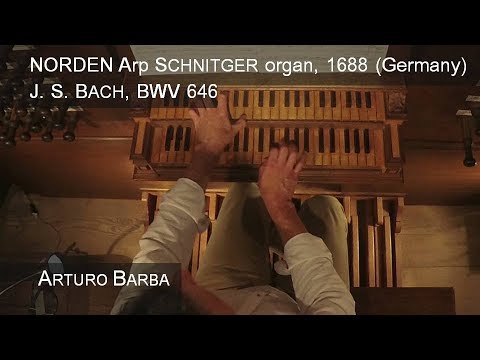 Bach BWV 646 Wo soll ich fliehen hin. Arturo Barba at Norden Arp Schnitger historic organ - Germany