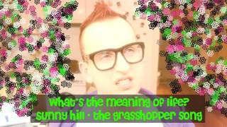 Sunny Hill "The Grasshopper Song"