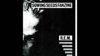 My Bloody Valentine - Port Talbot - June 1987