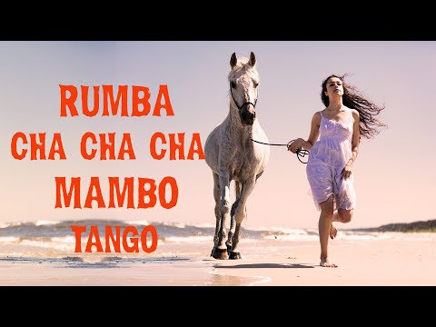 Spanish Guitar: RUMBA | CHA CHA CHA | TANGO | MAMBO -  Best of Instrumental Relaxing Guitar Music