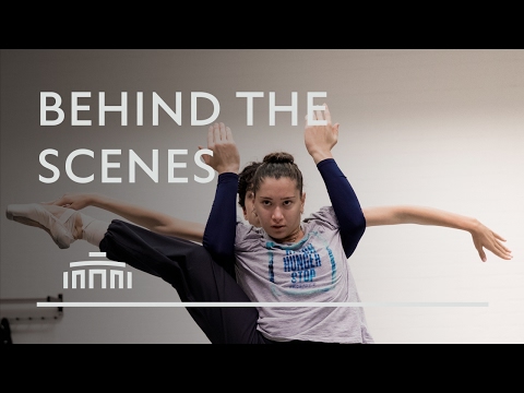 Junior Company in action for Juniors Go Dutch