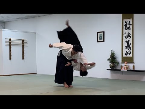 GDBJ Aikido Demo 2023