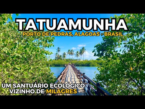 Tatuamunha, Porto de Pedras: O Paraíso Secreto de Alagoas / janeiro 2026