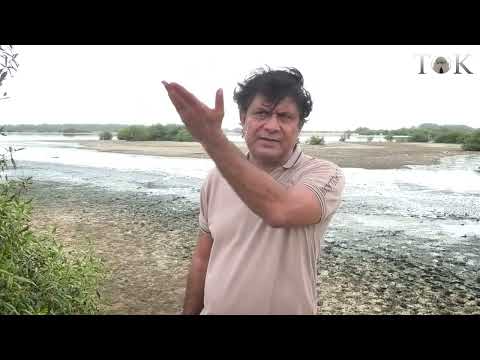 Even DHA Residents Don’t Visit Beaches | Masood Lohar Slams Coastal Mismanagement | Karachi Beaches