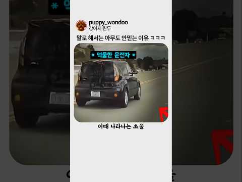 말로해서는 아무도 안 믿었던 이유