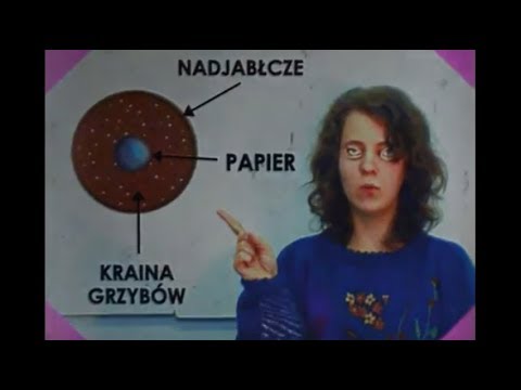 Poradnik Uśmiechu - Smile Guide  - full series