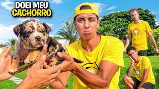 DOEI MEU CACHORRINHO NOVO *Despedida do Tropão !